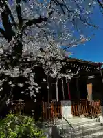 萩中神社の{uncategorized: "未分類", other: "その他", undefined: "問題あり", building: "その他建物", grave: "お墓", sacred_gate: "鳥居", guardian: "狛犬", statue: "像", buddha: "仏像", history: "歴史", nature: "自然", garden: "庭園", animal: "動物", pagoda: "塔", temizu: "手水舎", mountain_gate: "山門・神門", sanctuary: "本殿・本堂", subordinate: "末社・摂社", art: "芸術", scenery: "景色", jizo: "地蔵", ema: "絵馬", goshuin: "御朱印", omikuji: "おみくじ", items: "授与品その他", amulet: "お守り", goshuincho: "御朱印帳", eats: "食事", festival: "お祭り", votive_dance: "神楽", shichigosan: "七五三参", wedding: "結婚式", experience: "体験その他", initially: "初詣", around: "周辺", anti_infection: "感染症対策"}
