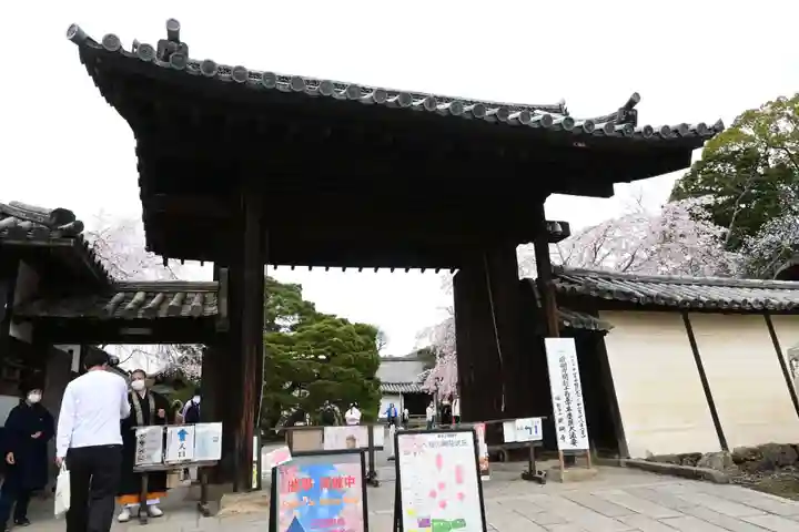 三宝院(三宝院門跡)(京都府)