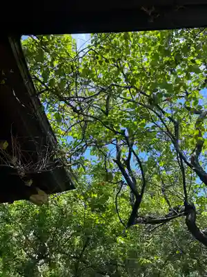 牛天神北野神社(東京都)
