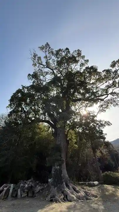 八大龍王社(徳島県)