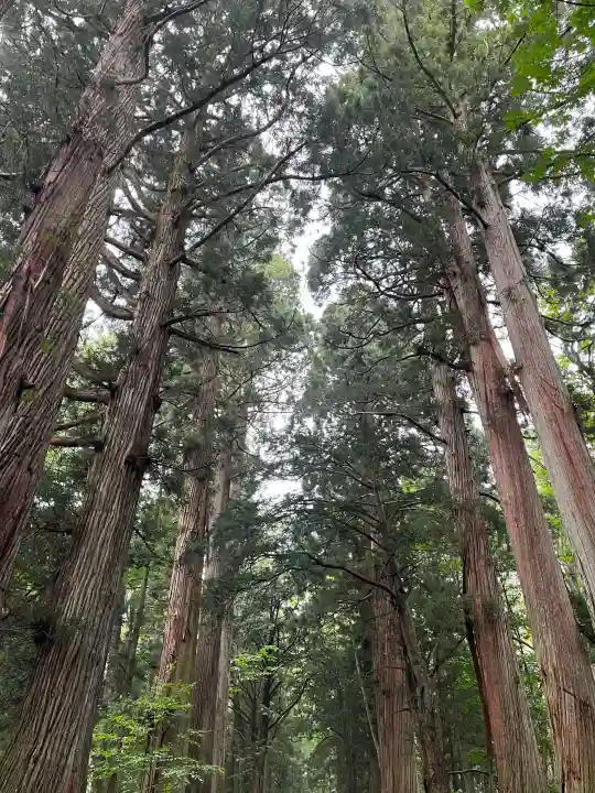 戸隠神社奥社の{uncategorized: "未分類", other: "その他", undefined: "問題あり", building: "その他建物", grave: "お墓", sacred_gate: "鳥居", guardian: "狛犬", statue: "像", buddha: "仏像", history: "歴史", nature: "自然", garden: "庭園", animal: "動物", pagoda: "塔", temizu: "手水舎", mountain_gate: "山門・神門", sanctuary: "本殿・本堂", subordinate: "末社・摂社", art: "芸術", scenery: "景色", jizo: "地蔵", ema: "絵馬", goshuin: "御朱印", omikuji: "おみくじ", items: "授与品その他", amulet: "お守り", goshuincho: "御朱印帳", eats: "食事", festival: "お祭り", votive_dance: "神楽", shichigosan: "七五三参", wedding: "結婚式", experience: "体験その他", initially: "初詣", around: "周辺", anti_infection: "感染症対策"}
