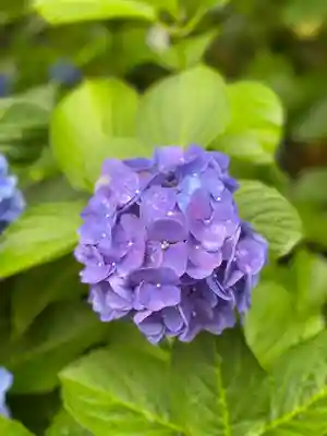 弥生神社(神奈川県)