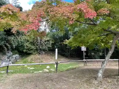 大覚寺(京都府)