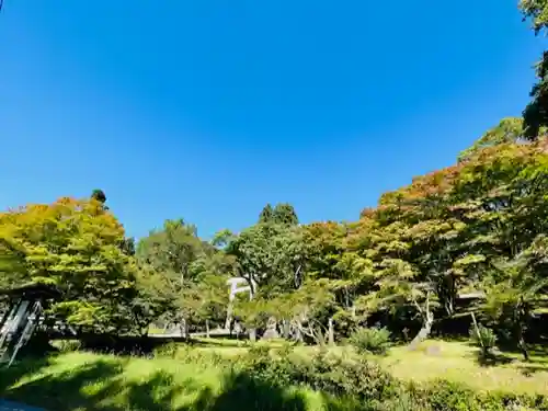 土津神社｜こどもと出世の神さまの景色