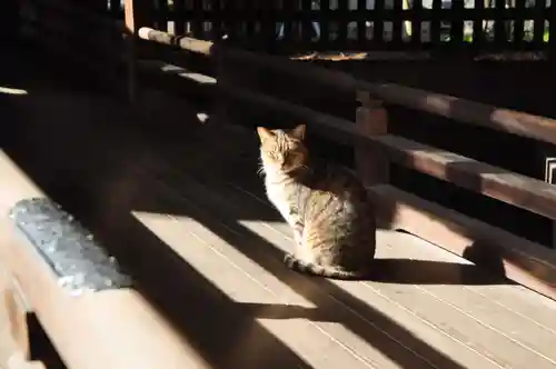 艮神社(広島県)