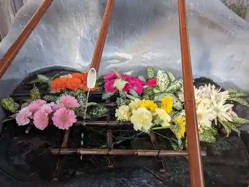 盛岡八幡宮(岩手県)