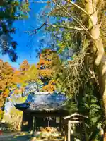 岡見八坂神社の本殿・本堂