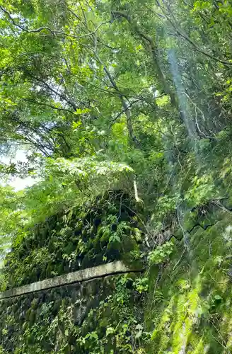 九頭龍神社本宮の自然