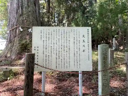飛龍八幡宮(山口県)