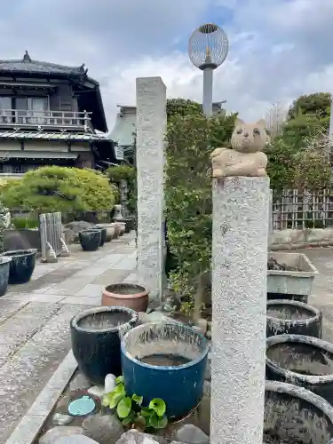 日蓮宗龍口山本龍寺の{uncategorized: "未分類", other: "その他", undefined: "問題あり", building: "その他建物", grave: "お墓", sacred_gate: "鳥居", guardian: "狛犬", statue: "像", buddha: "仏像", history: "歴史", nature: "自然", garden: "庭園", animal: "動物", pagoda: "塔", temizu: "手水舎", mountain_gate: "山門・神門", sanctuary: "本殿・本堂", subordinate: "末社・摂社", art: "芸術", scenery: "景色", jizo: "地蔵", ema: "絵馬", goshuin: "御朱印", omikuji: "おみくじ", items: "授与品その他", amulet: "お守り", goshuincho: "御朱印帳", eats: "食事", festival: "お祭り", votive_dance: "神楽", shichigosan: "七五三参", wedding: "結婚式", experience: "体験その他", initially: "初詣", around: "周辺", anti_infection: "感染症対策"}