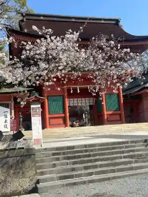 富士山本宮浅間大社(静岡県)