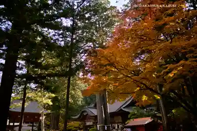 北口本宮冨士浅間神社(山梨県)