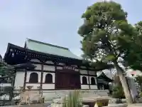 全勝寺の{uncategorized: "未分類", other: "その他", undefined: "問題あり", building: "その他建物", grave: "お墓", sacred_gate: "鳥居", guardian: "狛犬", statue: "像", buddha: "仏像", history: "歴史", nature: "自然", garden: "庭園", animal: "動物", pagoda: "塔", temizu: "手水舎", mountain_gate: "山門・神門", sanctuary: "本殿・本堂", subordinate: "末社・摂社", art: "芸術", scenery: "景色", jizo: "地蔵", ema: "絵馬", goshuin: "御朱印", omikuji: "おみくじ", items: "授与品その他", amulet: "お守り", goshuincho: "御朱印帳", eats: "食事", festival: "お祭り", votive_dance: "神楽", shichigosan: "七五三参", wedding: "結婚式", experience: "体験その他", initially: "初詣", around: "周辺", anti_infection: "感染症対策"}