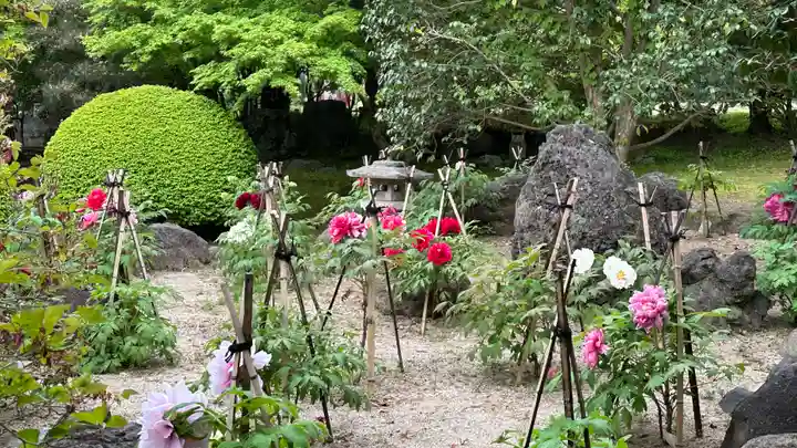 長泉院(埼玉県)