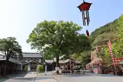 祐徳稲荷神社(佐賀県)