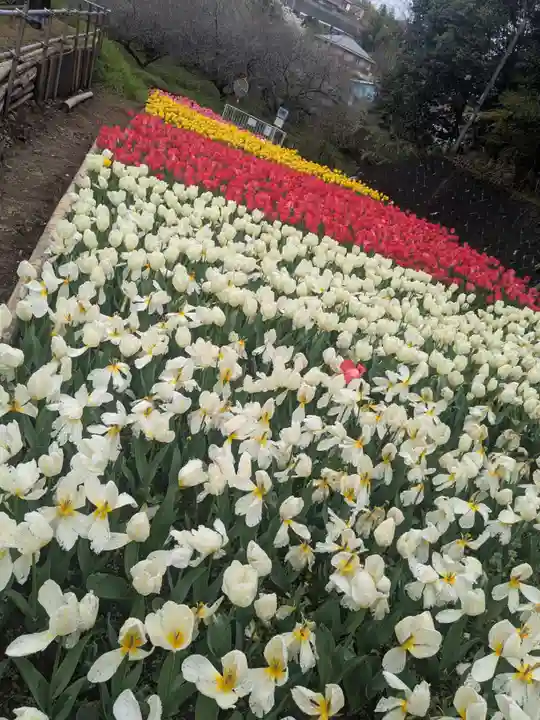 泉蔵寺(神奈川県)