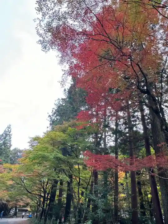 大矢田神社(岐阜県)
