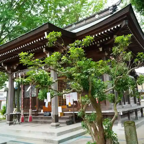 熊野福藏神社の本殿・本堂