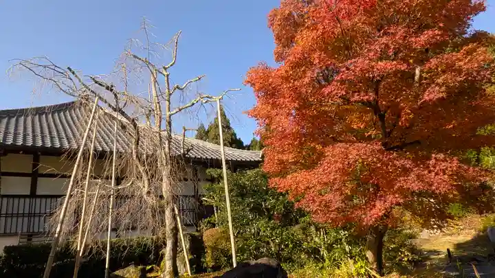 常照寺(京都府)