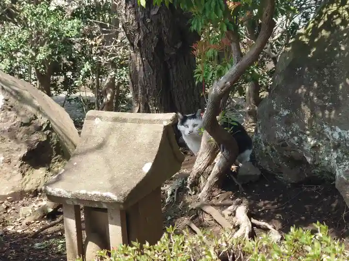 妙福寺(神奈川県)