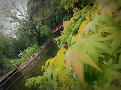 武蔵一宮氷川神社の庭園