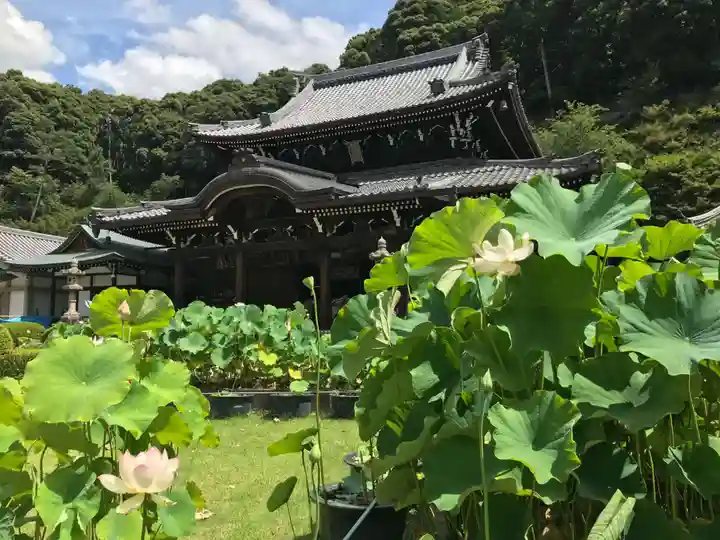 三室戸寺の本殿・本堂