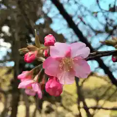 普門寺(切り絵御朱印発祥の寺)の自然