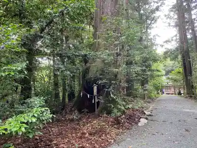 若一王子宮(高知県)
