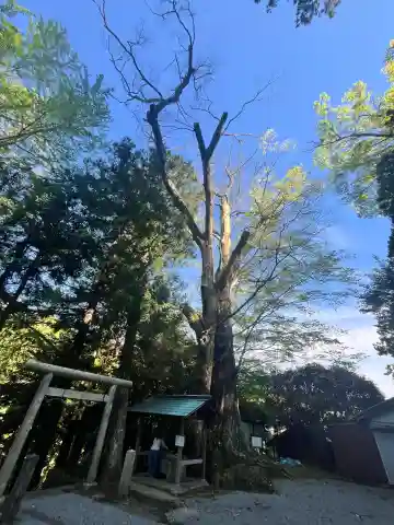 國津神社の{uncategorized: "未分類", other: "その他", undefined: "問題あり", building: "その他建物", grave: "お墓", sacred_gate: "鳥居", guardian: "狛犬", statue: "像", buddha: "仏像", history: "歴史", nature: "自然", garden: "庭園", animal: "動物", pagoda: "塔", temizu: "手水舎", mountain_gate: "山門・神門", sanctuary: "本殿・本堂", subordinate: "末社・摂社", art: "芸術", scenery: "景色", jizo: "地蔵", ema: "絵馬", goshuin: "御朱印", omikuji: "おみくじ", items: "授与品その他", amulet: "お守り", goshuincho: "御朱印帳", eats: "食事", festival: "お祭り", votive_dance: "神楽", shichigosan: "七五三参", wedding: "結婚式", experience: "体験その他", initially: "初詣", around: "周辺", anti_infection: "感染症対策"}
