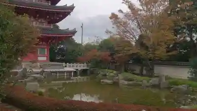 蓮華院誕生寺　本院の自然