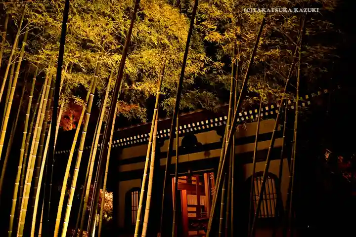 長谷寺(神奈川県)