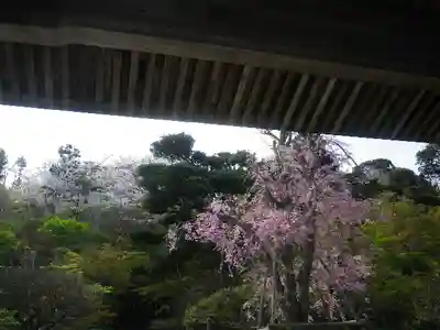 長谷寺のその他建物