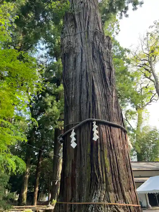 河口浅間神社(山梨県)