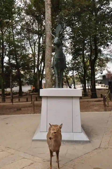 春日大社(奈良県)