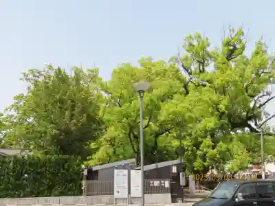 諫早神社（九州総守護  四面宮）(長崎県)
