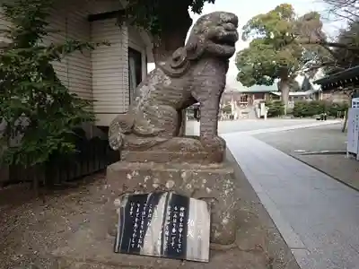 伊勢原大神宮の狛犬