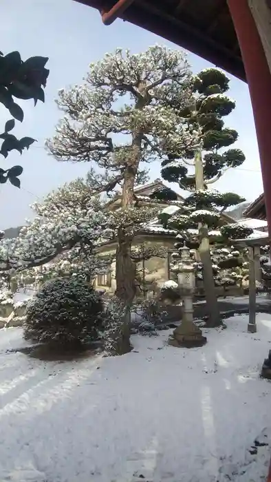 倶梨迦羅神社の建物その他