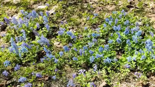 浦臼神社(北海道)