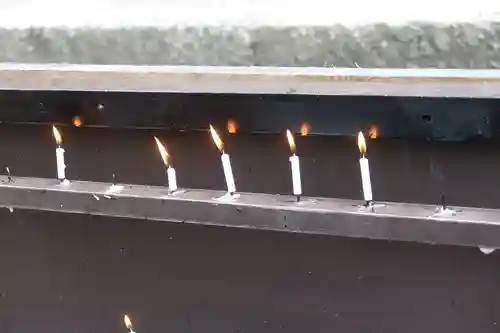 賀茂御祖神社（下鴨神社）(京都府)