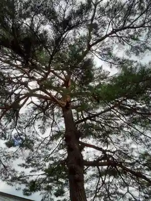 隠里寺(岩手県)