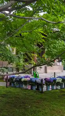 勝林寺(京都府)