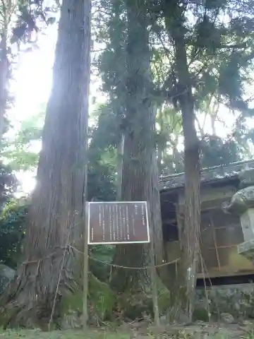 磐照神社(愛知県)