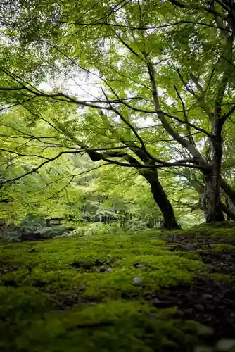 大寧寺(山口県)