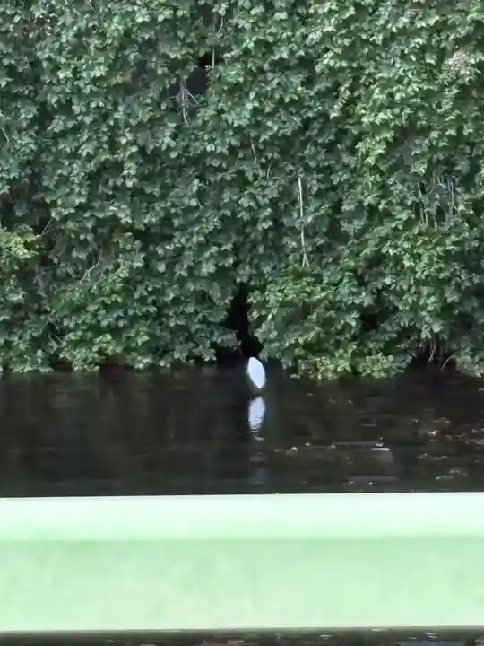 鶴ヶ峰稲荷神社(神奈川県)
