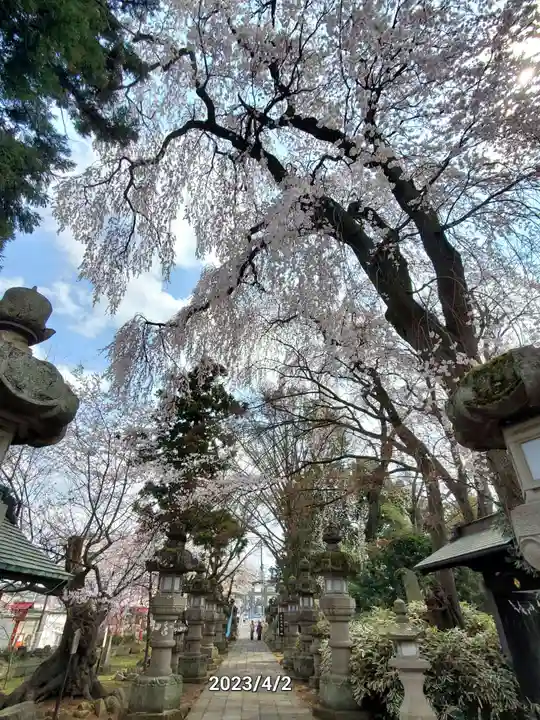 神炊館神社 ⁂奥州須賀川総鎮守⁂(福島県)