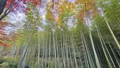 天龍寺(京都府)