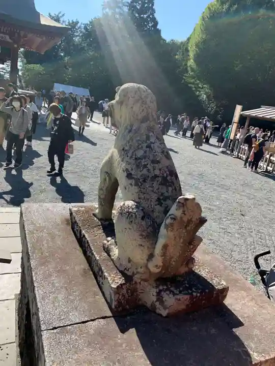 鶴岡八幡宮の狛犬