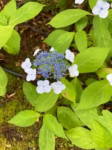 頼光寺(兵庫県)
