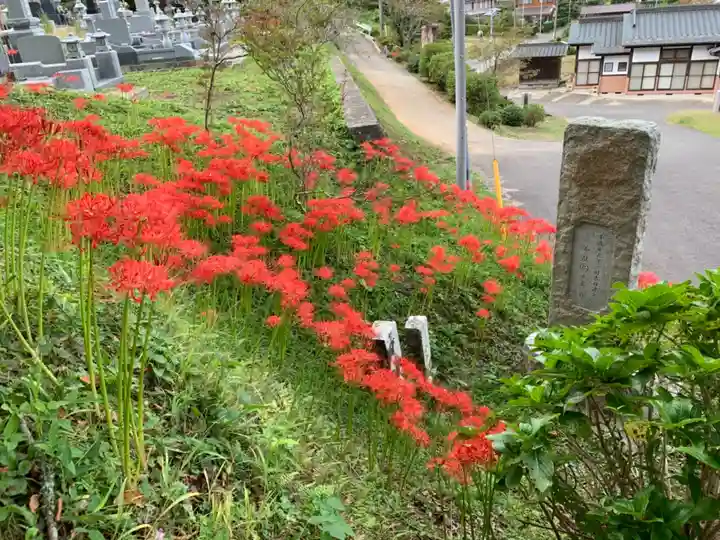 八幡神社の庭園