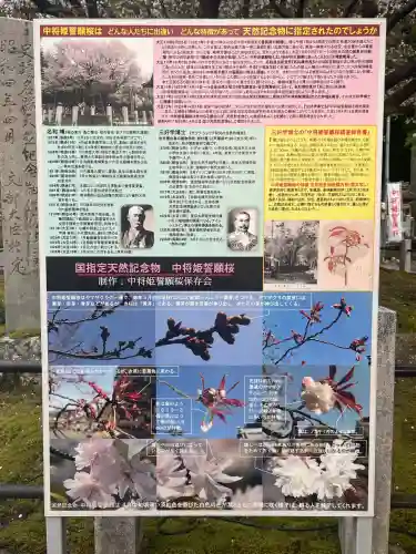 願成寺の{uncategorized: "未分類", other: "その他", undefined: "問題あり", building: "その他建物", grave: "お墓", sacred_gate: "鳥居", guardian: "狛犬", statue: "像", buddha: "仏像", history: "歴史", nature: "自然", garden: "庭園", animal: "動物", pagoda: "塔", temizu: "手水舎", mountain_gate: "山門・神門", sanctuary: "本殿・本堂", subordinate: "末社・摂社", art: "芸術", scenery: "景色", jizo: "地蔵", ema: "絵馬", goshuin: "御朱印", omikuji: "おみくじ", items: "授与品その他", amulet: "お守り", goshuincho: "御朱印帳", eats: "食事", festival: "お祭り", votive_dance: "神楽", shichigosan: "七五三参", wedding: "結婚式", experience: "体験その他", initially: "初詣", around: "周辺", anti_infection: "感染症対策"}